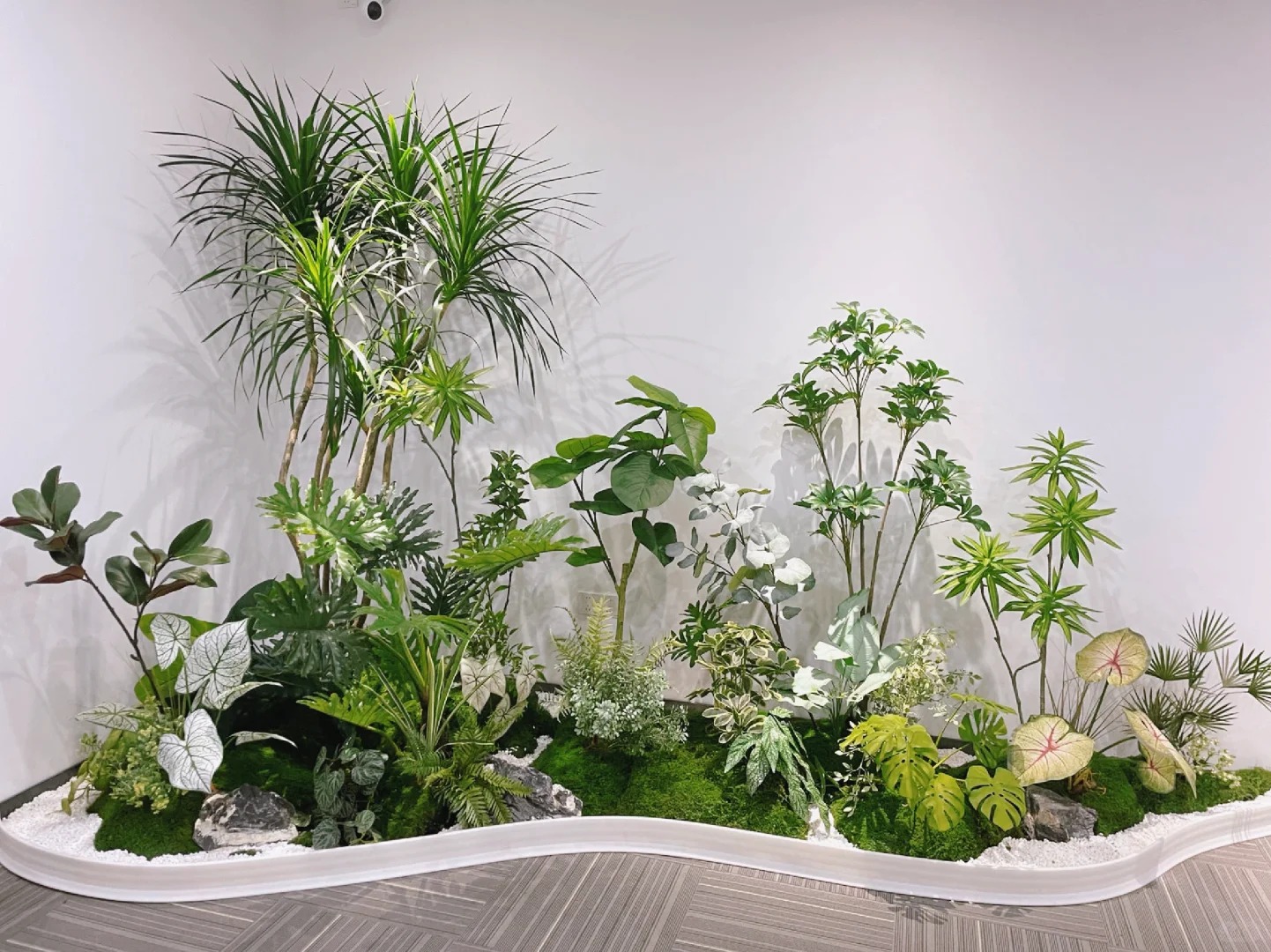 专业花卉租赁,宁波鄞州的绿色贴心之选